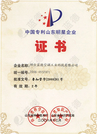 中國(guó)專利山東明星企業(yè)證書(shū)